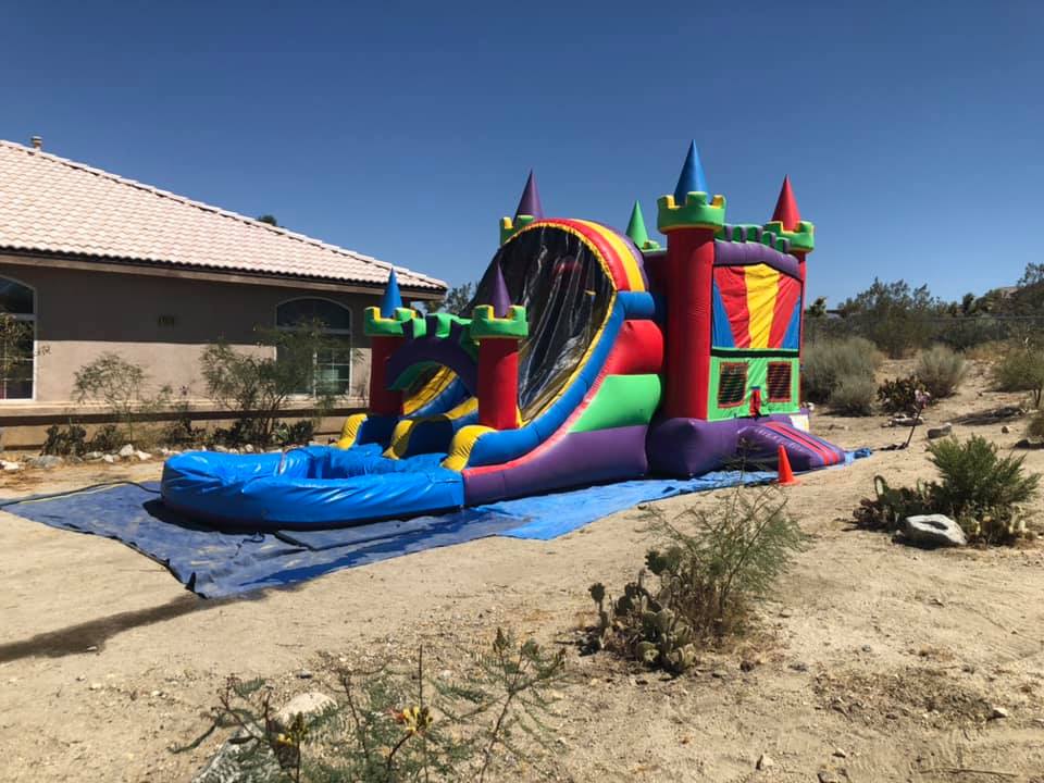 Castle dual lane slide bounce house combo